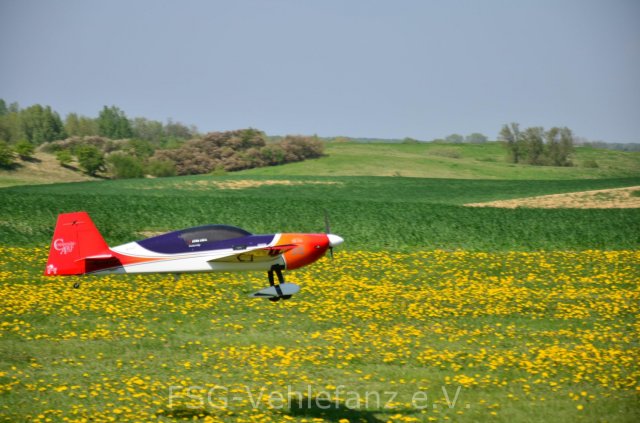 DSC_1223 (FILEminimizer)